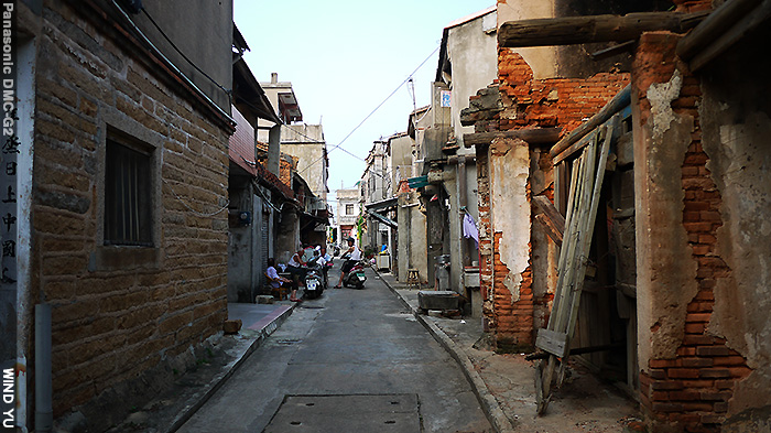 金門環島路之行／樹情萬種的環島東路