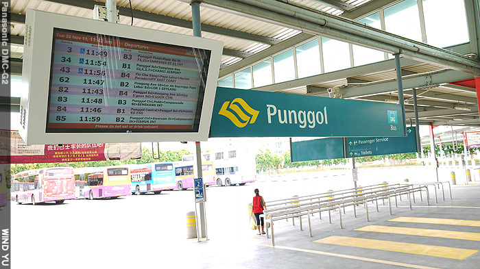 NE17Punggol5