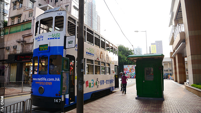 堅尼地城P1030911 堅尼地城P1030911