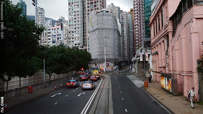 跑馬地P1030354 跑馬地P1030354