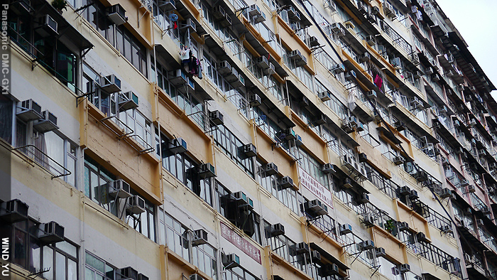 北角P1030270 北角P1030270