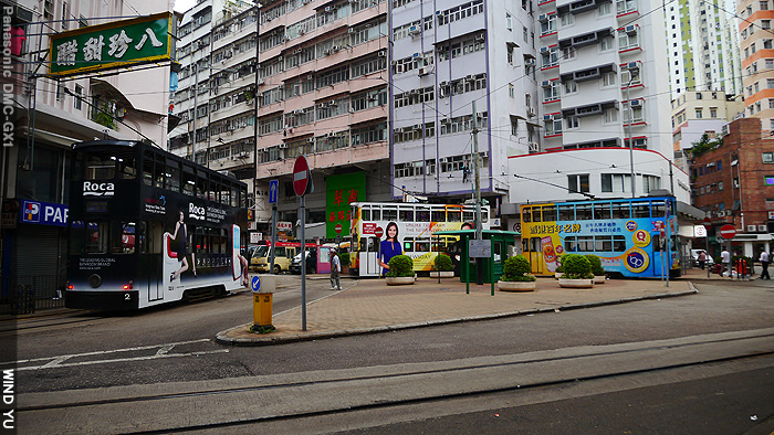 箕P1030191 箕P1030191