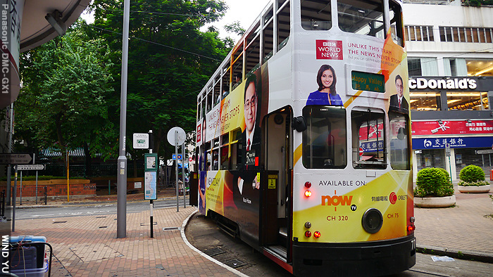 箕P1030196 箕P1030196