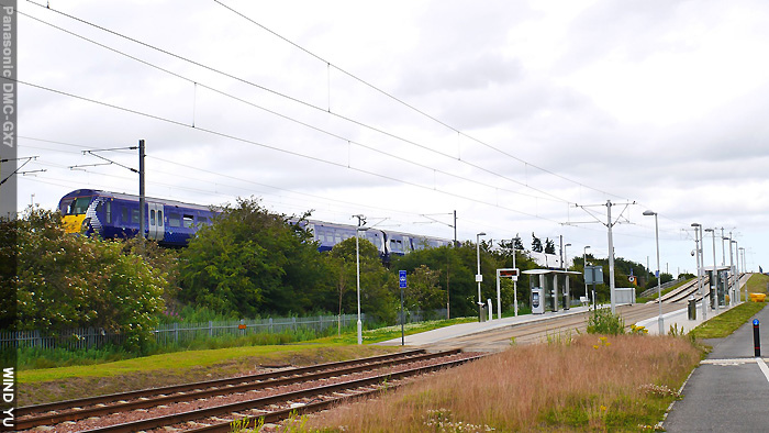 P1480078.jpg P1480078.jpg