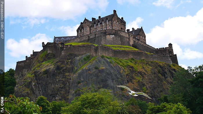 P1480181.jpg P1480181.jpg