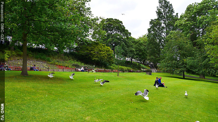 P1480193.jpg P1480193.jpg