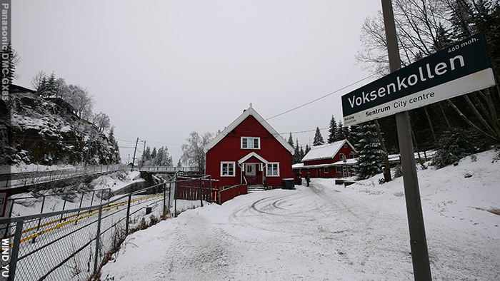 P1110387.JPG P1110387.JPG