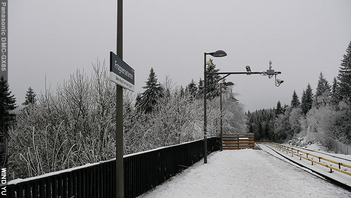 P1110339.JPG P1110339.JPG