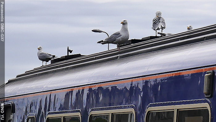 P1490330.JPG P1490330.JPG