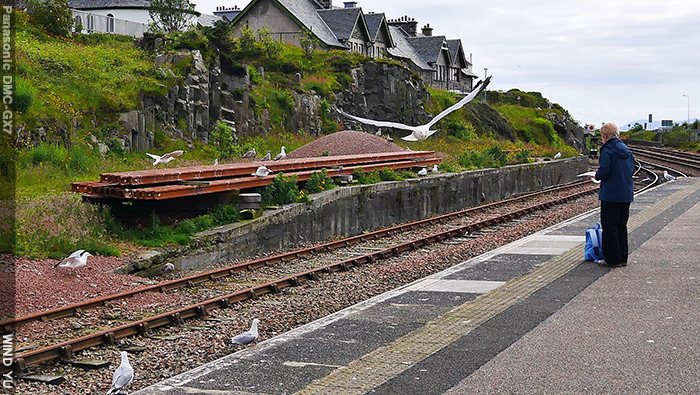 P1490334.JPG P1490334.JPG