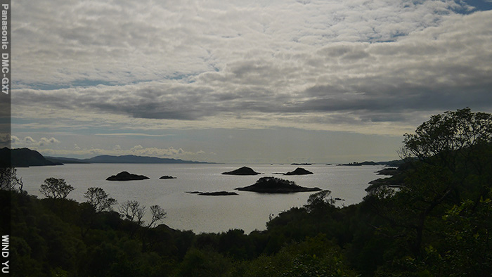 P1490374.JPG P1490374.JPG