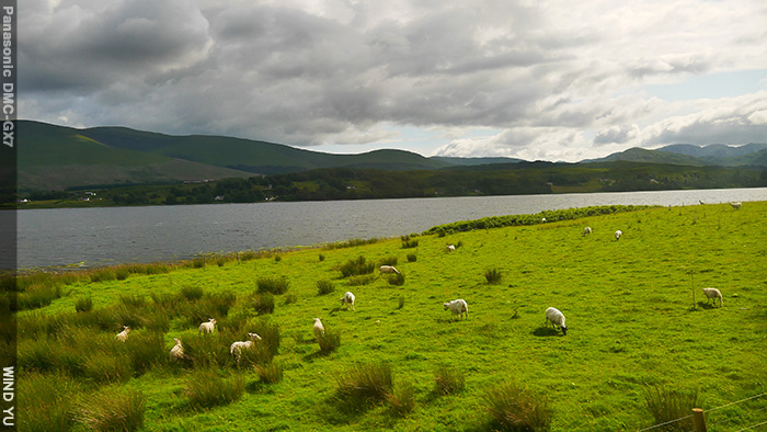 P1490398.JPG P1490398.JPG