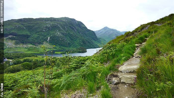 P1010699.JPG P1010699.JPG