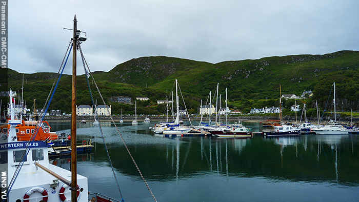 P1010705.JPG P1010705.JPG