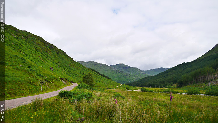 P1490131.JPG P1490131.JPG