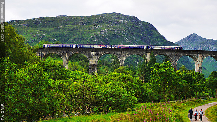 P1490166.JPG P1490166.JPG