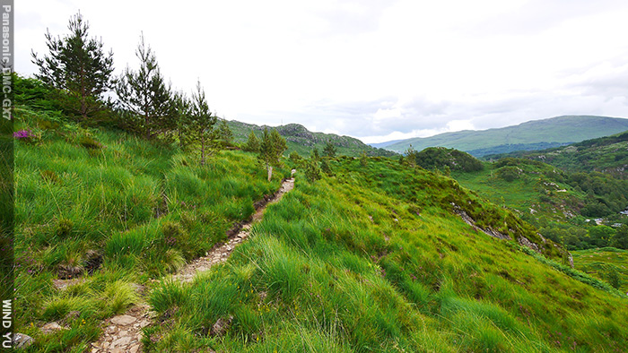 P1490217.JPG P1490217.JPG