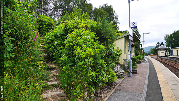 P1490245.JPG P1490245.JPG