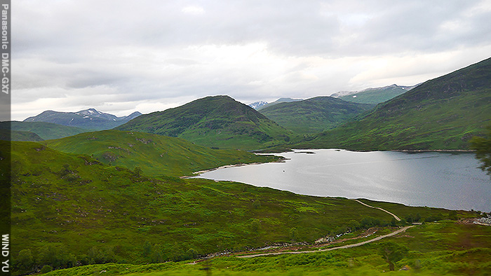 P1490500.JPG P1490500.JPG