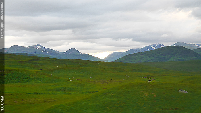 P1490514.JPG P1490514.JPG