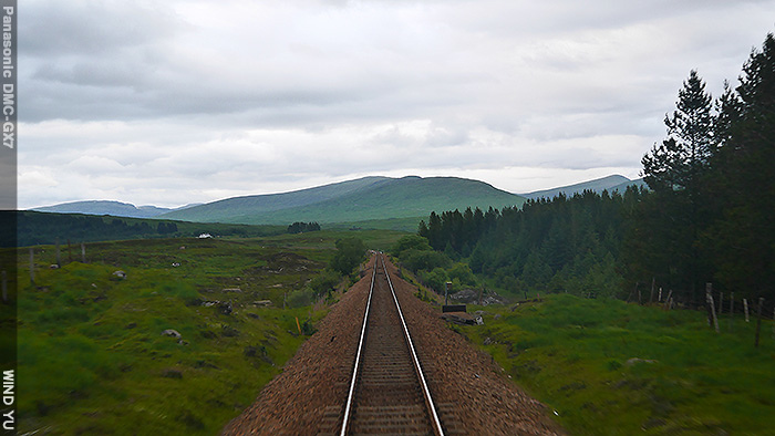 P1490575.JPG P1490575.JPG