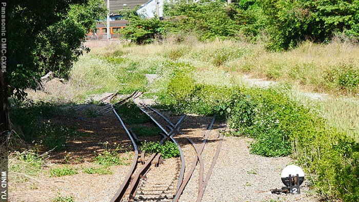 P1190665.JPG P1190665.JPG