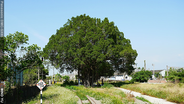 P1190658.JPG P1190658.JPG