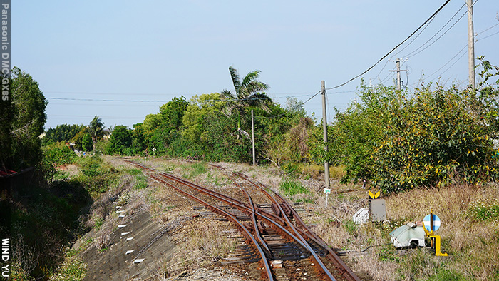 P1190747.JPG P1190747.JPG