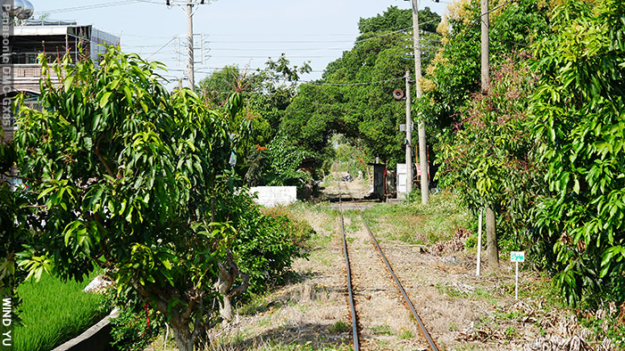 P1190754.JPG P1190754.JPG