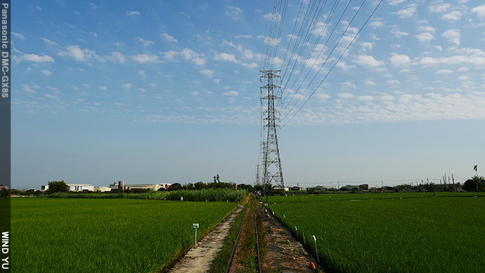 P1190835.JPG P1190835.JPG