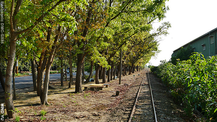 P1190860.JPG P1190860.JPG