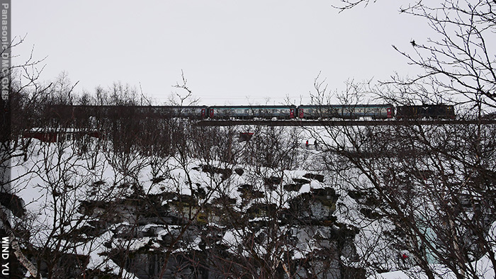 P1100296.JPG P1100296.JPG