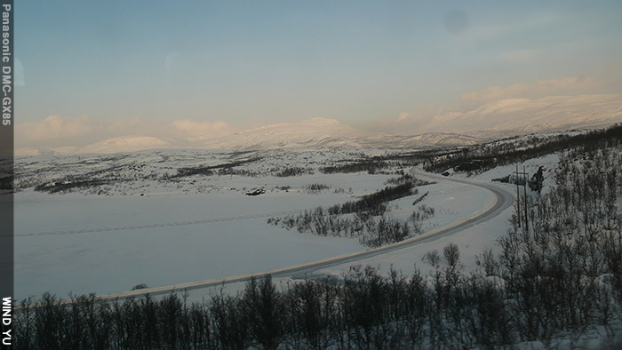 P1100537.JPG P1100537.JPG