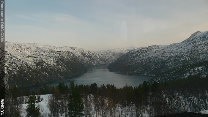 P1100676.JPG P1100676.JPG