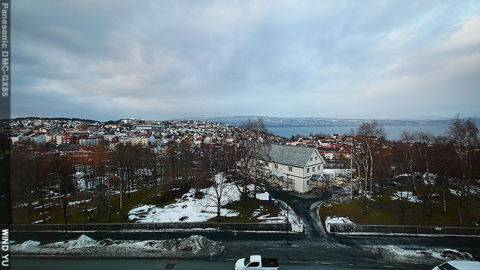 P1100794.JPG P1100794.JPG