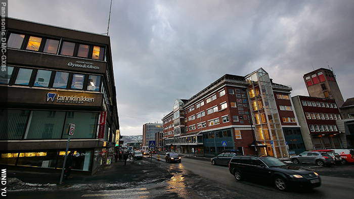 P1100795.JPG P1100795.JPG