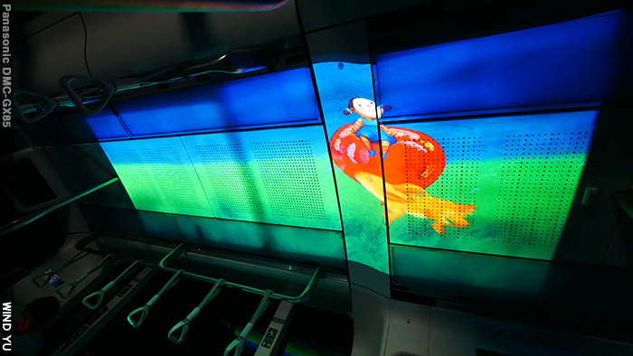 P1230051.JPG P1230051.JPG