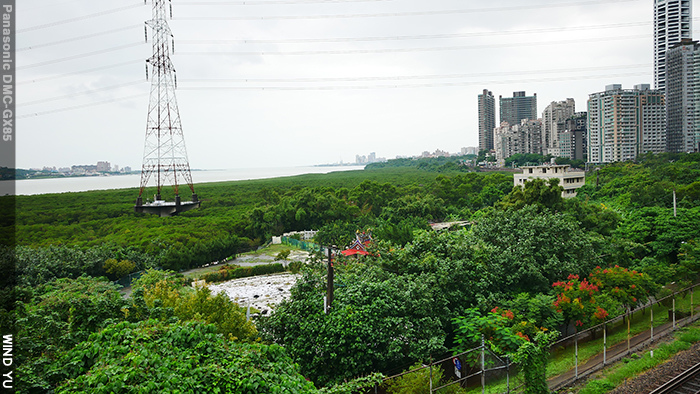 P1220395.JPG P1220395.JPG