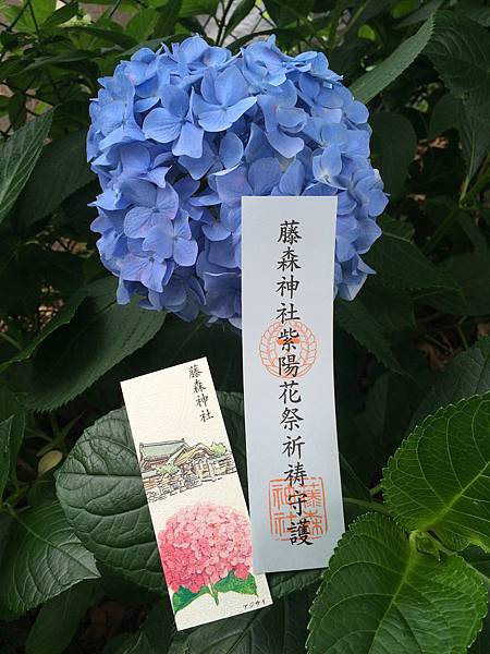 藤森神社紫陽花 繡球花 Yusaki到處走跳 痞客邦