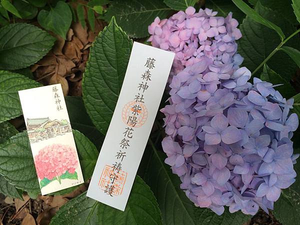 藤森神社紫陽花 繡球花 Yusaki到處走跳 痞客邦