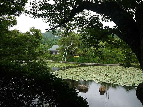 京都龍安寺 石庭 吾唯足知 Yusaki到處走跳 痞客邦 京都龍安寺 石庭 吾唯足知 Yusaki到處走跳 痞客邦