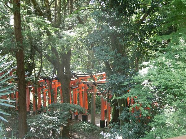 0929 稻荷神社 (41).JPG