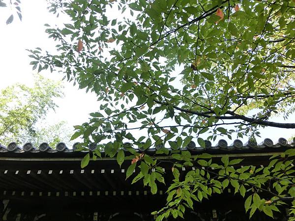 0930-1 南禪寺 (66)