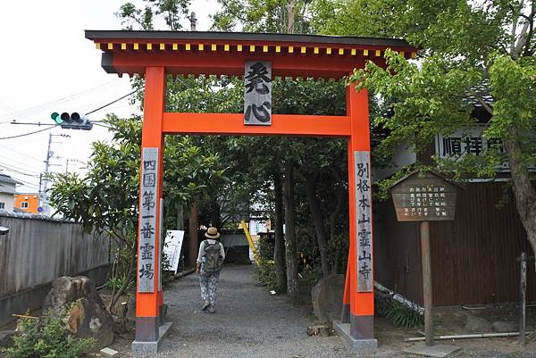 DSC_0986.JPG DSC_0986.JPG