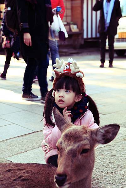 IMG_0933.JPG IMG_0933.JPG