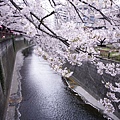 _DSC1200.JPG
