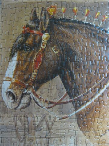 2010.06.22 1000片Heavy Horses (32).JPG