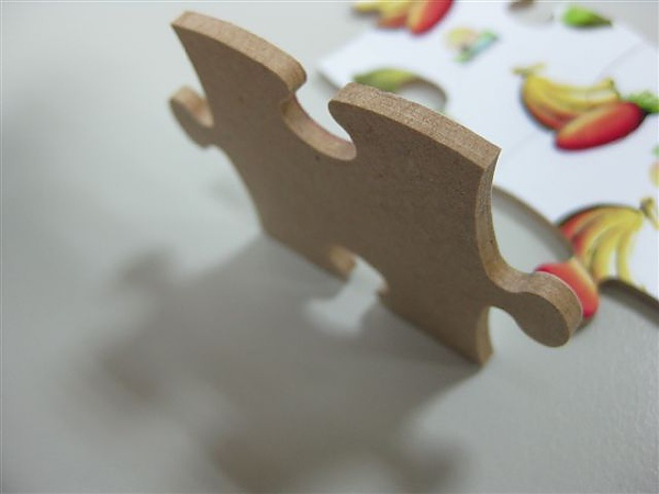 2011.01.04 9 pcs 試拼品_Go Puzzles 翌陽科技有限公 (11).JPG