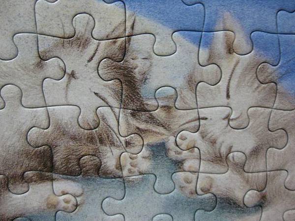 2011.05.22 108 pcs 01-765 (10).jpg