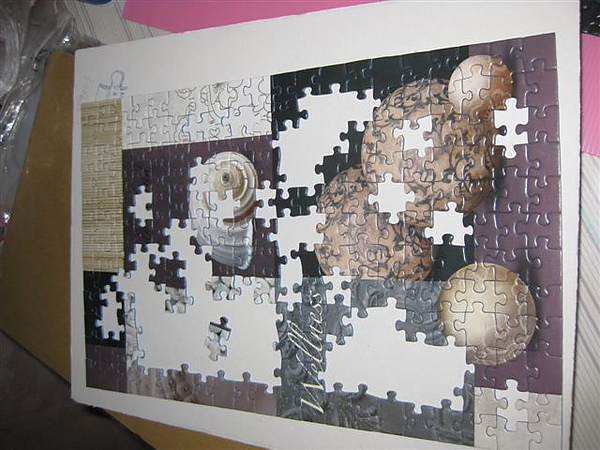 2010.11.24 1000 pcs Peace and Harmony (7).JPG